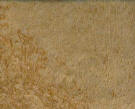 leather suede lamb leather cow leather goat leather crocodile leather by art export bali indonesia