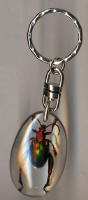 bug keychain key chain keychains and bug necklace by art export bali indonesia