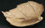 coconut shell soap dish