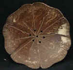 coconut shell soap dish