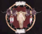 Wolf, dream catcher, indian statue, indian jewelery, bow and arrow