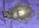 Silver Plated Bronze Beetle