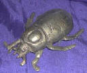 Silver Plated Bronze Beetle