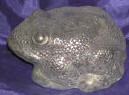 Silver Plated Bronze Frog