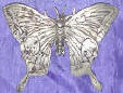 Silver Plated Bronze Butterfly 