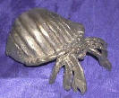 Silver Plated Bronze Hermit Crab