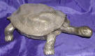 Silver Plated Bronze Turtle