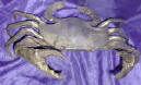 Silver Plated Bronze Crab