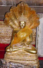 buddha_DSCN3850.jpg (28799 bytes)