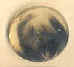 Button shell wooden resin horn bone button art export bali indonesia