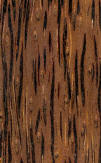 palm wood used in Bali wood carvings 
