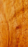 suar wood used in Bali wood carvings 