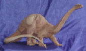 Dinosaur Pleurocoelus wood carving by art export bali indonesia