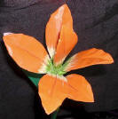 wood flower wood flowers arrangement by art export bali indonesia