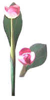 artificial flower