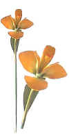 artificial flower