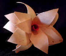 wood flowers Bali Indonesia bali indonesia art export